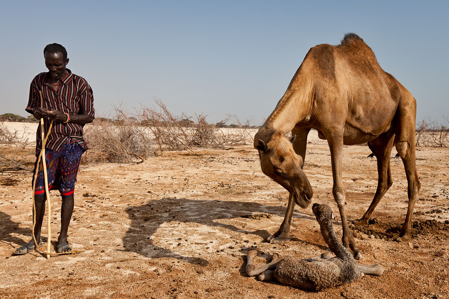  Contact   Gabra tribe   Kenya